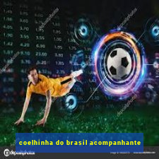 coelhinha do brasil acompanhante